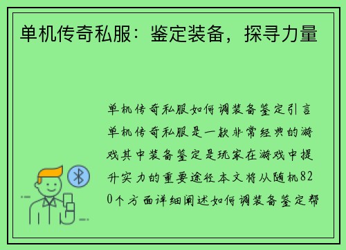 单机传奇私服：鉴定装备，探寻力量